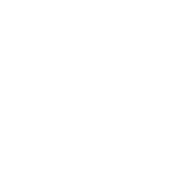 mormaii logo